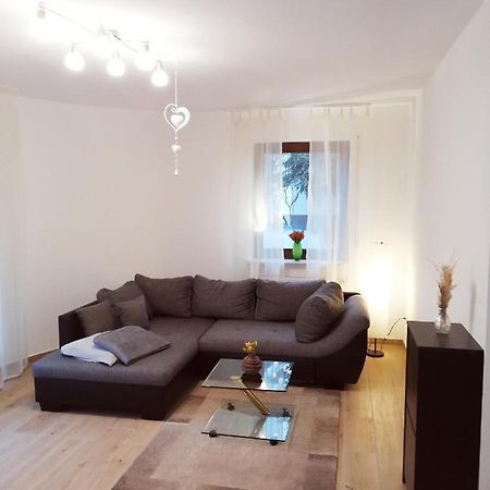 Ebenerdige Ferienwohnung Mit Grosser Terrasse In Der Naehe Des Waldes, Zum Wohlfuehlen Schoneck Kültér fotó
