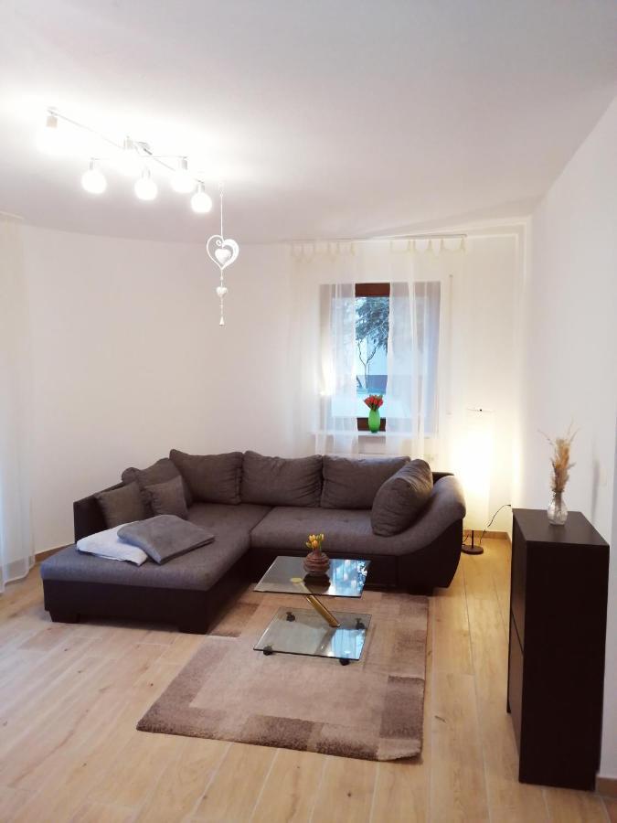 Ebenerdige Ferienwohnung Mit Grosser Terrasse In Der Naehe Des Waldes, Zum Wohlfuehlen Schoneck Kültér fotó